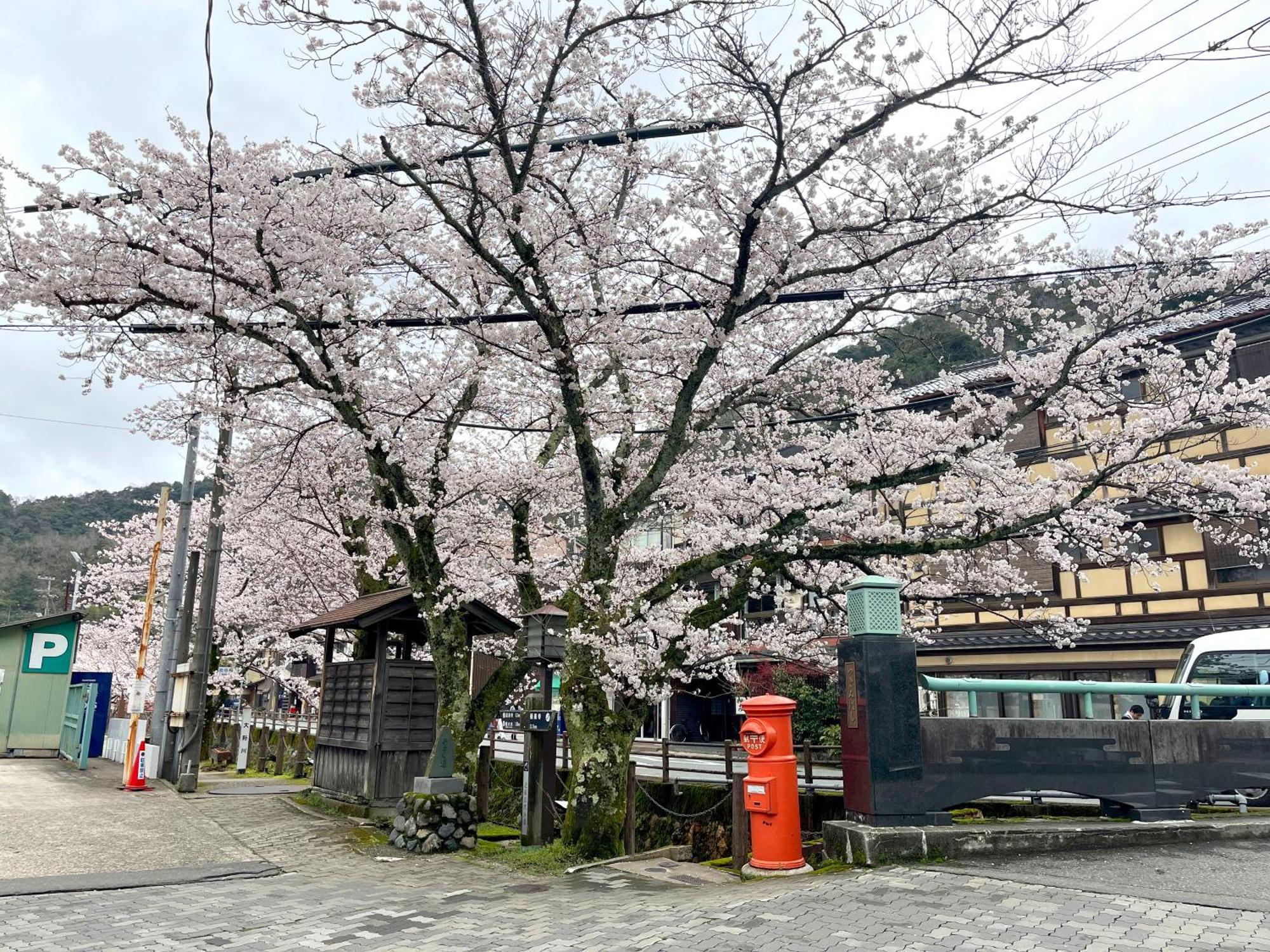 城崎温泉一棟貸し　旅宿yadokari Тоёока Экстерьер фото